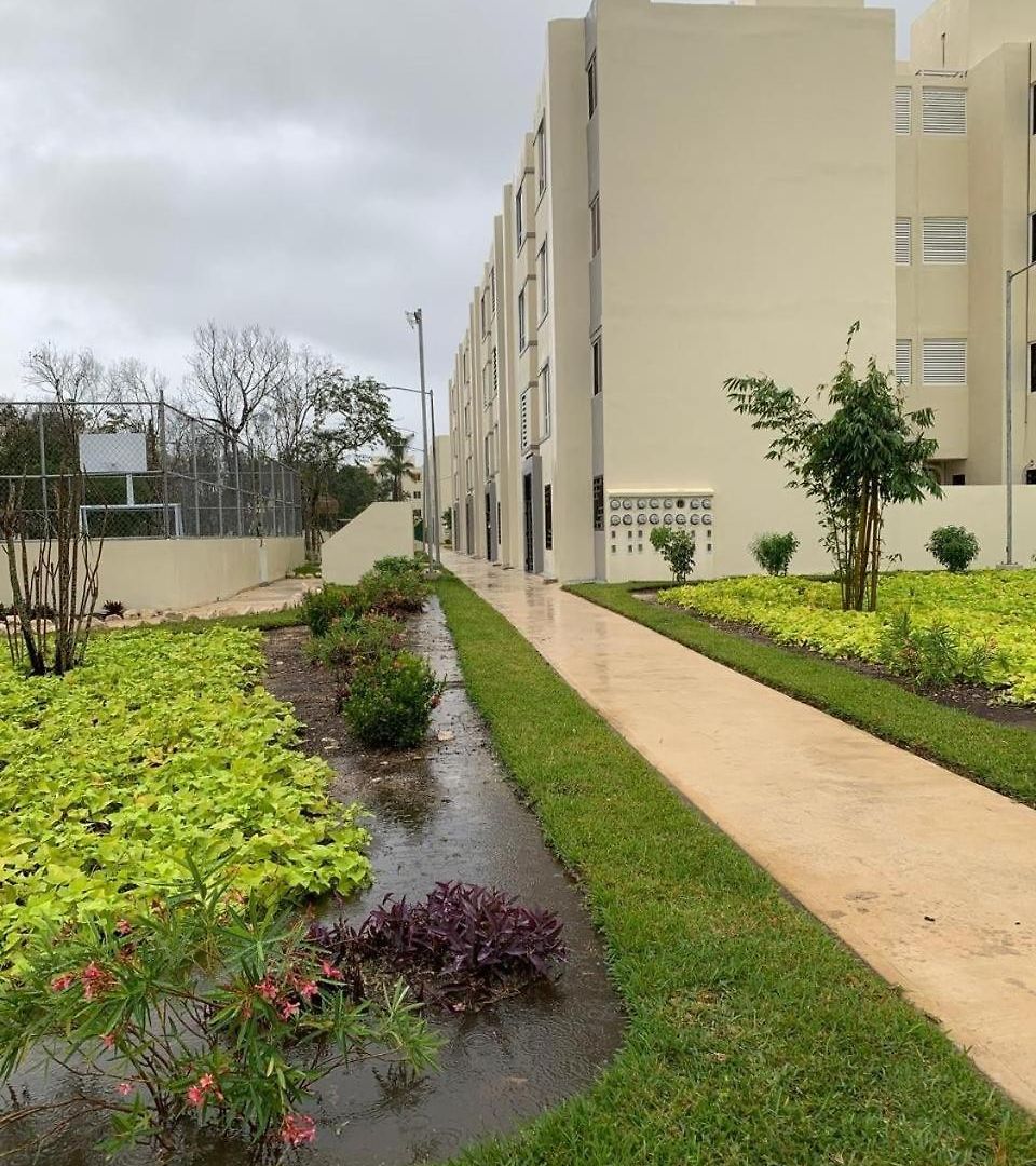 Apartment Hippie Artisan Jungle Flat Pool