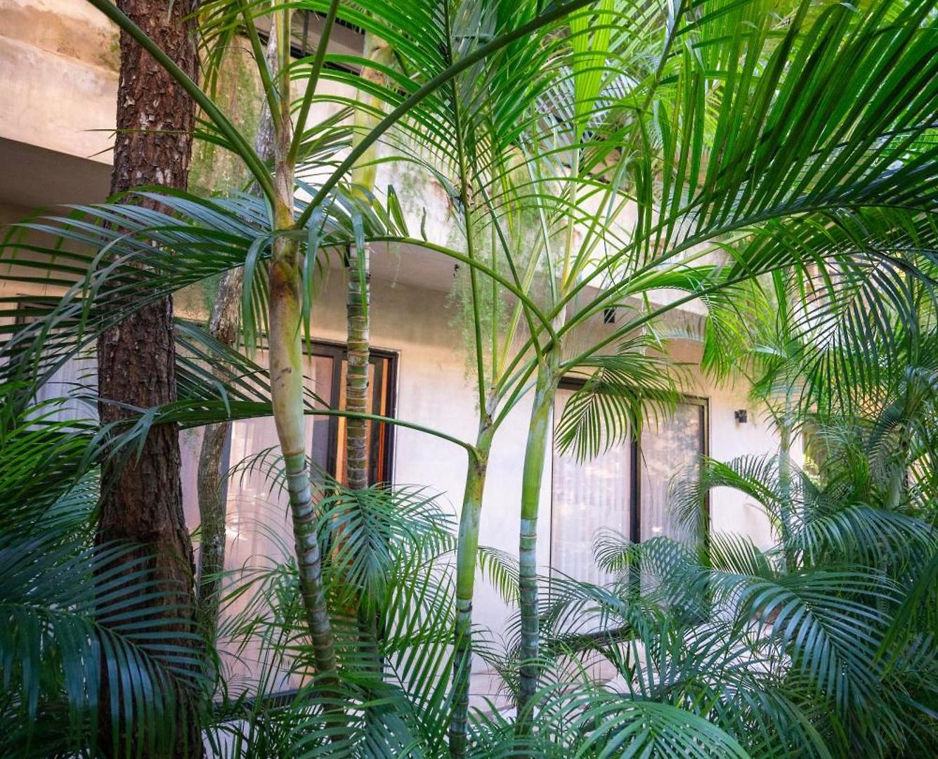 Your Dream Pool Bikes & Near Every Hotspot * Tulum