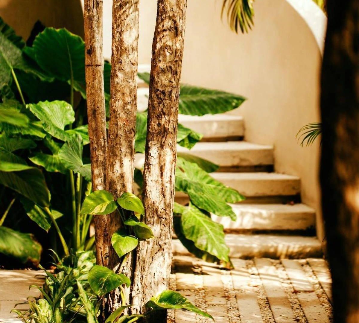 Your Dream Pool Bikes & Near Every Hotspot Tulum
