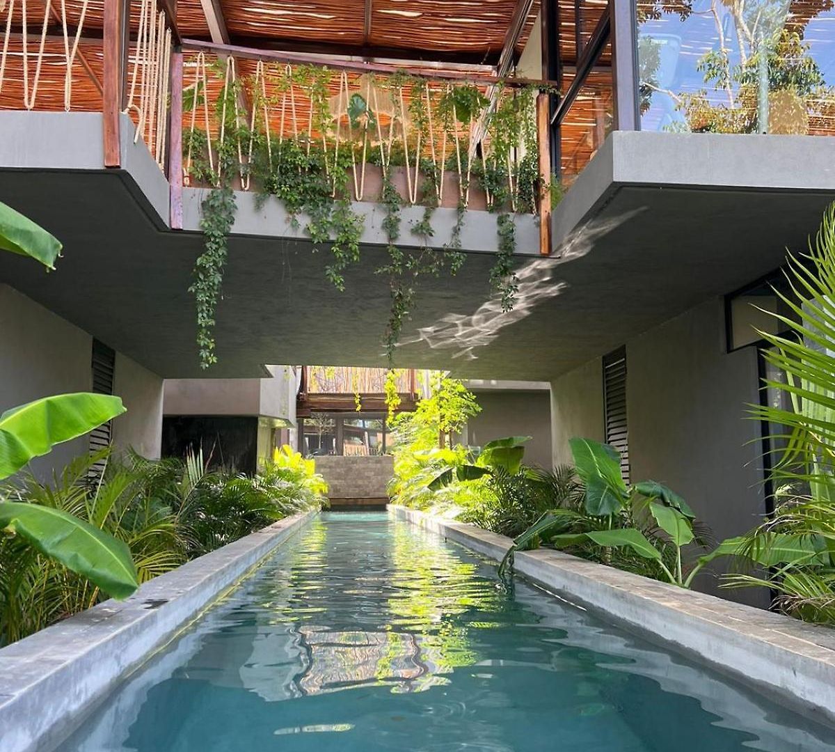 Jungle Luxury Romantic Club Private Pool *