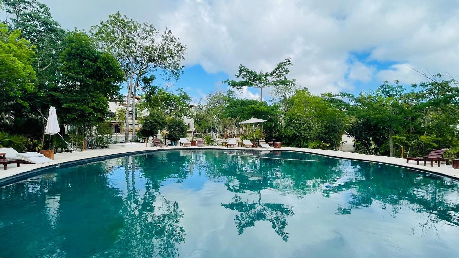 Family In The Jungle With Cenotes And Big Pool Tulum