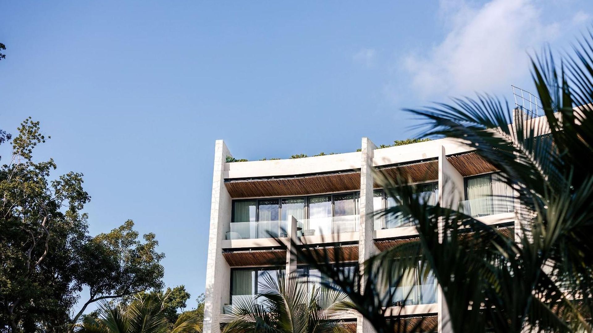 Secrets & Club (adults Only) Resort 5*