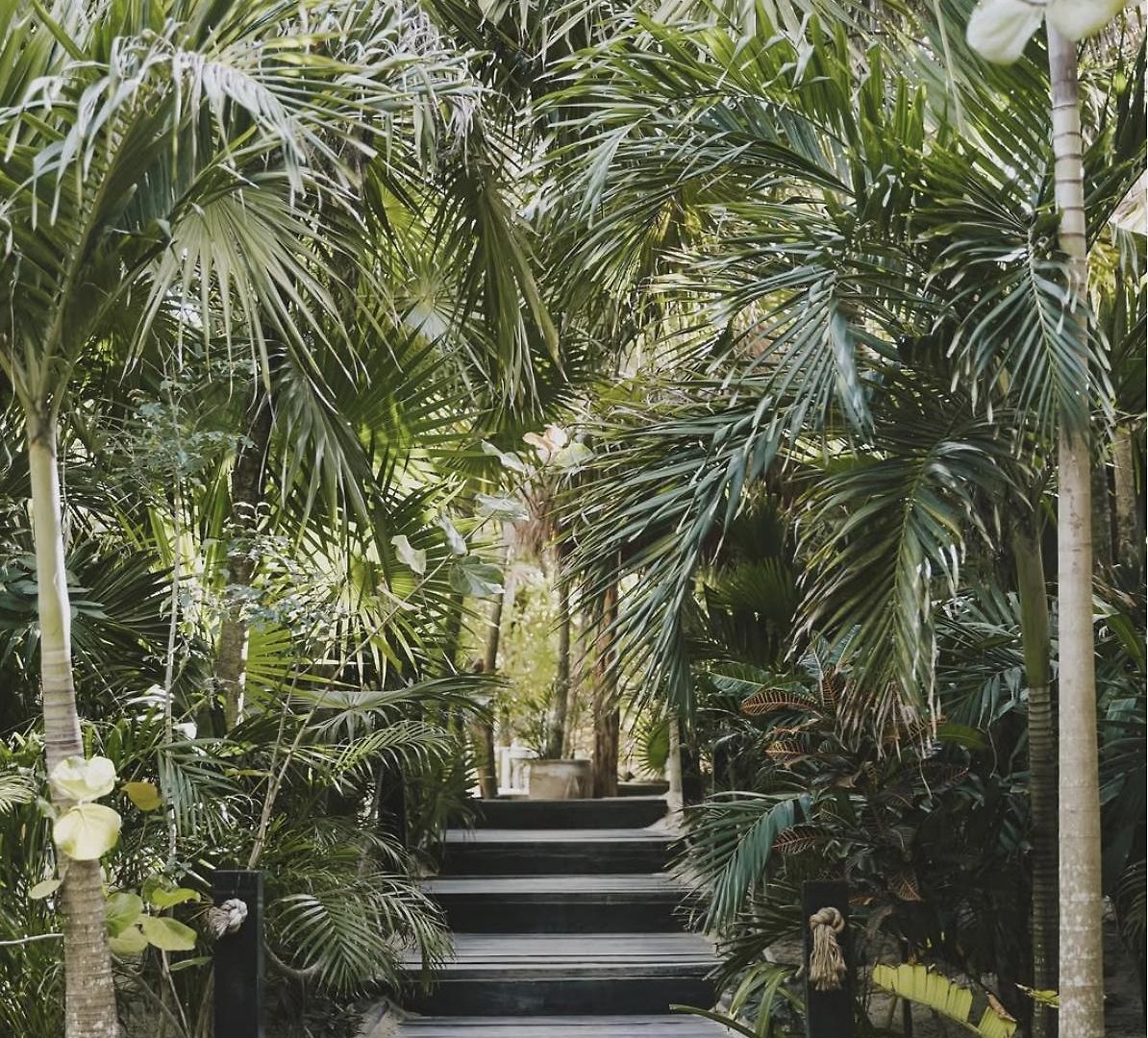 Casa Violeta Hotel 3*