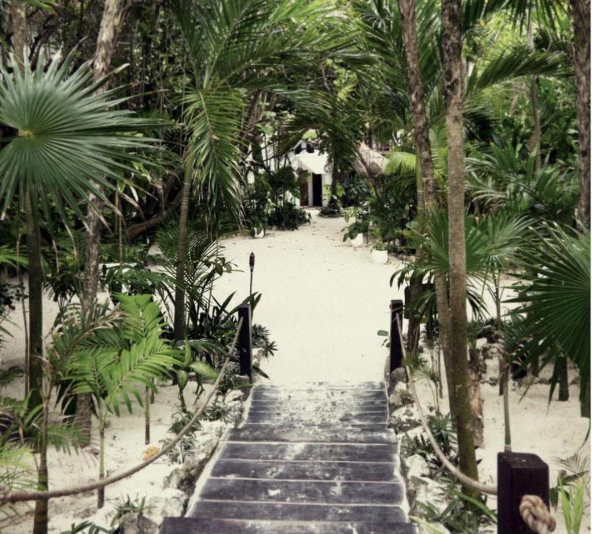 Casa Violeta Hotel 3*
