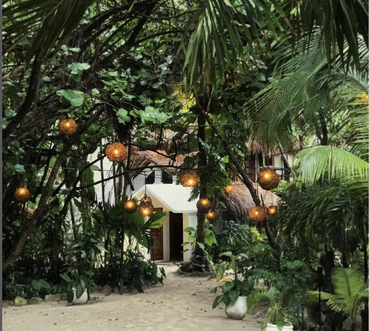 Hotel Casa Violeta 3*
