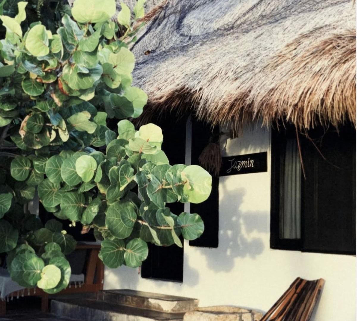 Casa Violeta 3*