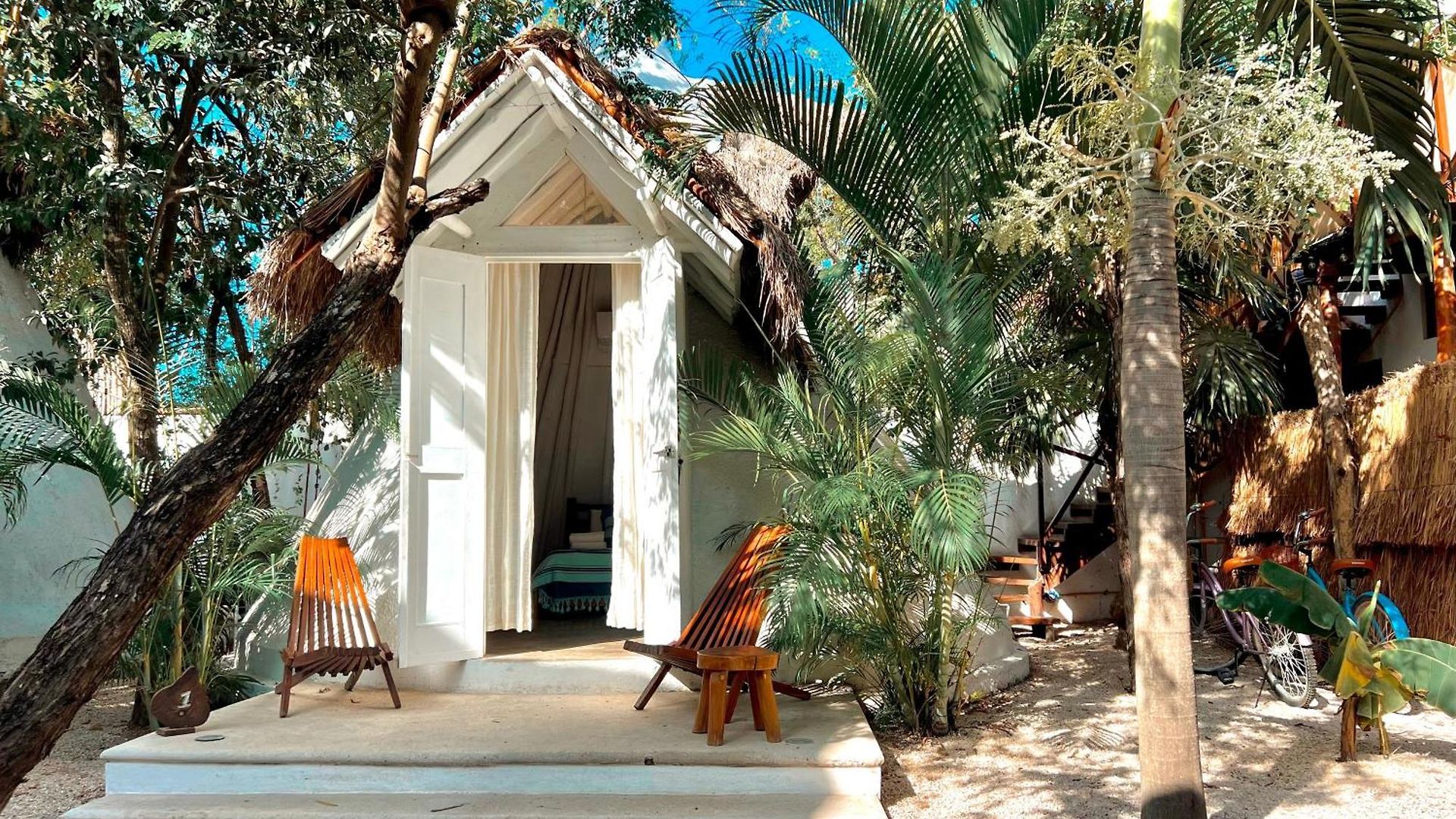 Mimosa Hostal *