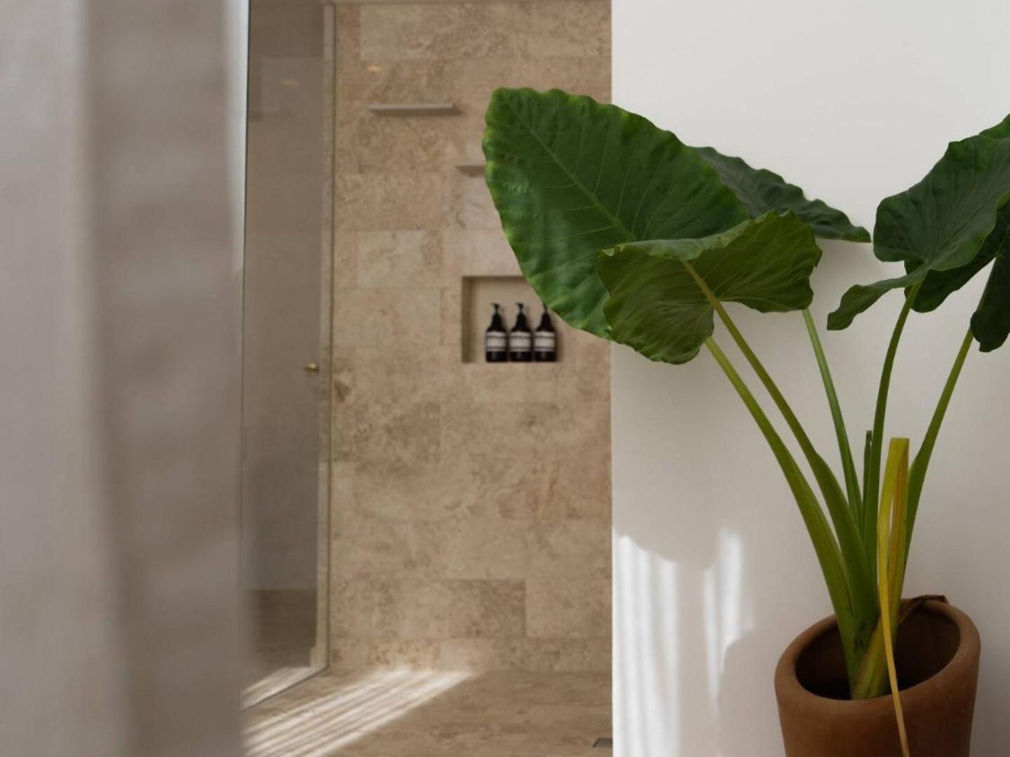 Selva Alta Penthouse Private Rooftop Apartment *