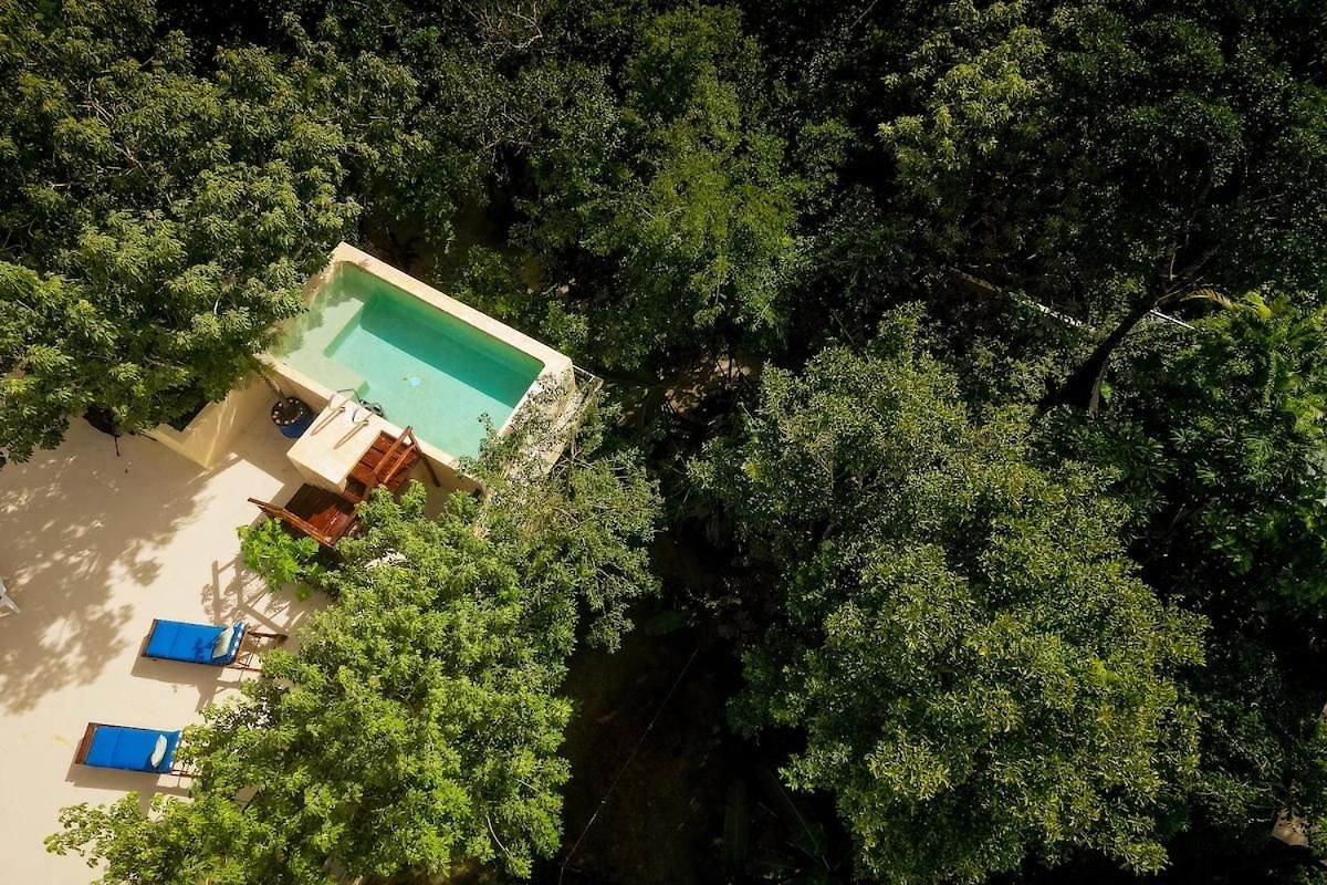 Casa Hibiscus Sky-high Pool With Birds Above The Jungle *