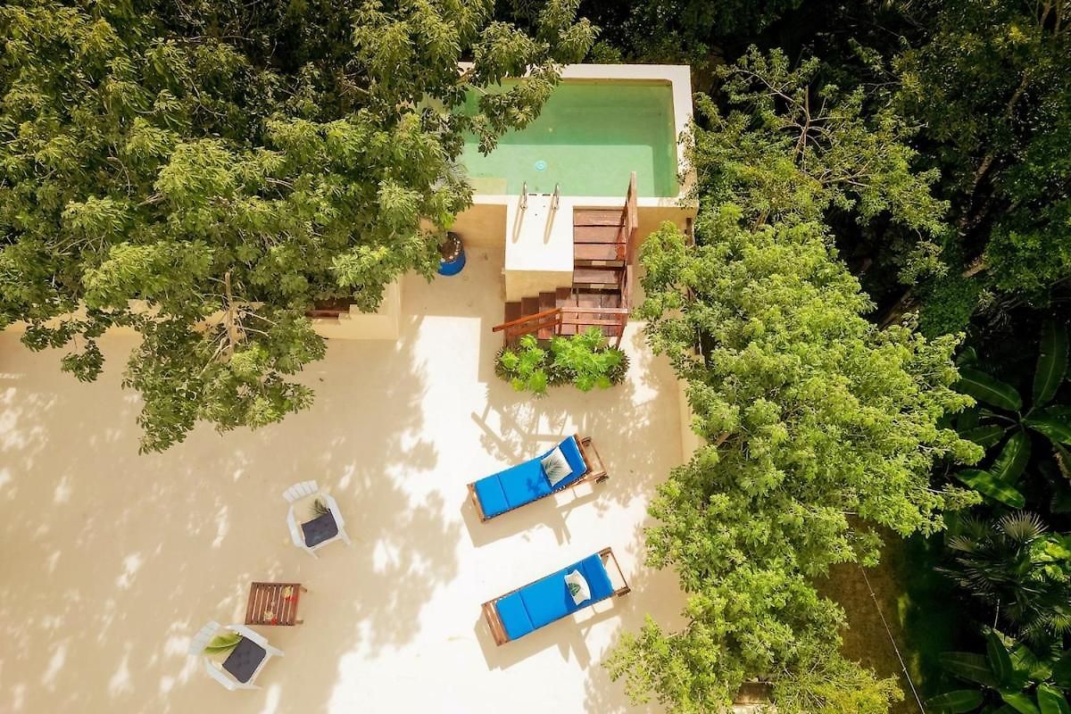 Villa Casa Hibiscus Sky-high Pool With Birds Above The Jungle *