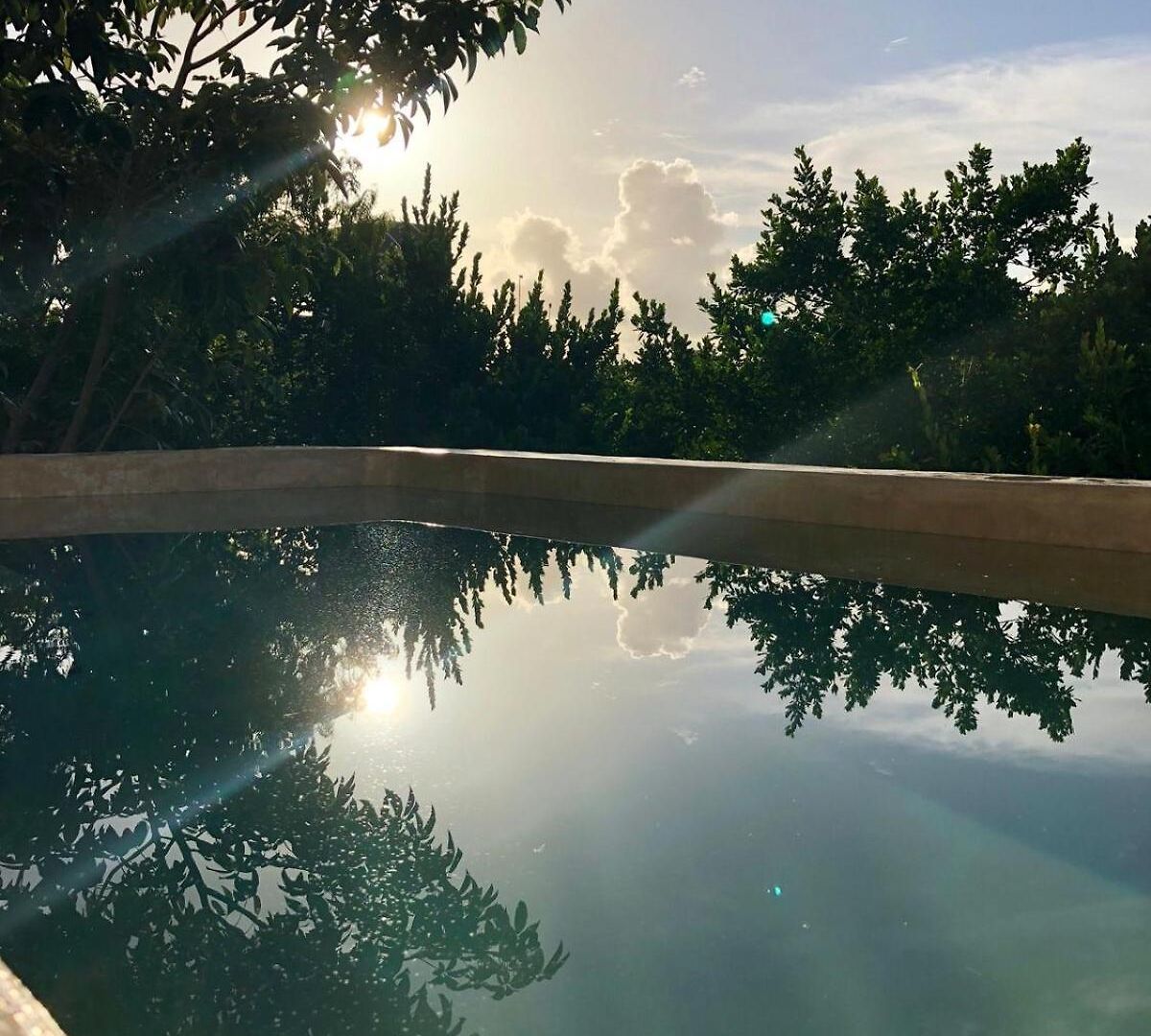 Villa Casa Hibiscus Sky-high Pool With Birds Above The Jungle