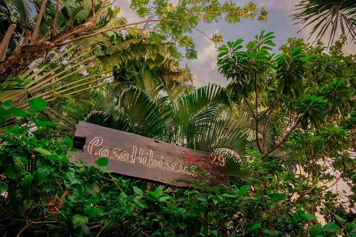 Villa Casa Hibiscus Sky-high Pool With Birds Above The Jungle Tulum