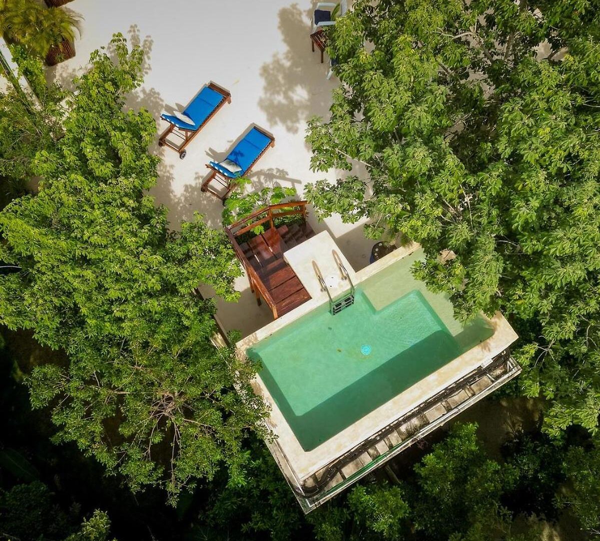 Casa Hibiscus Sky-high Pool With Birds Above The Jungle Villa
