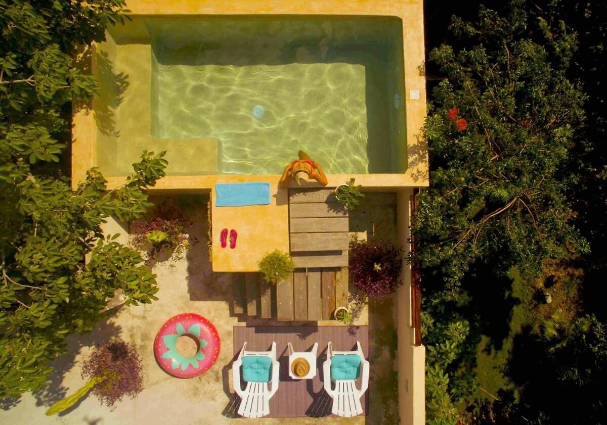 Casa Hibiscus Sky-high Pool With Birds Above The Jungle *