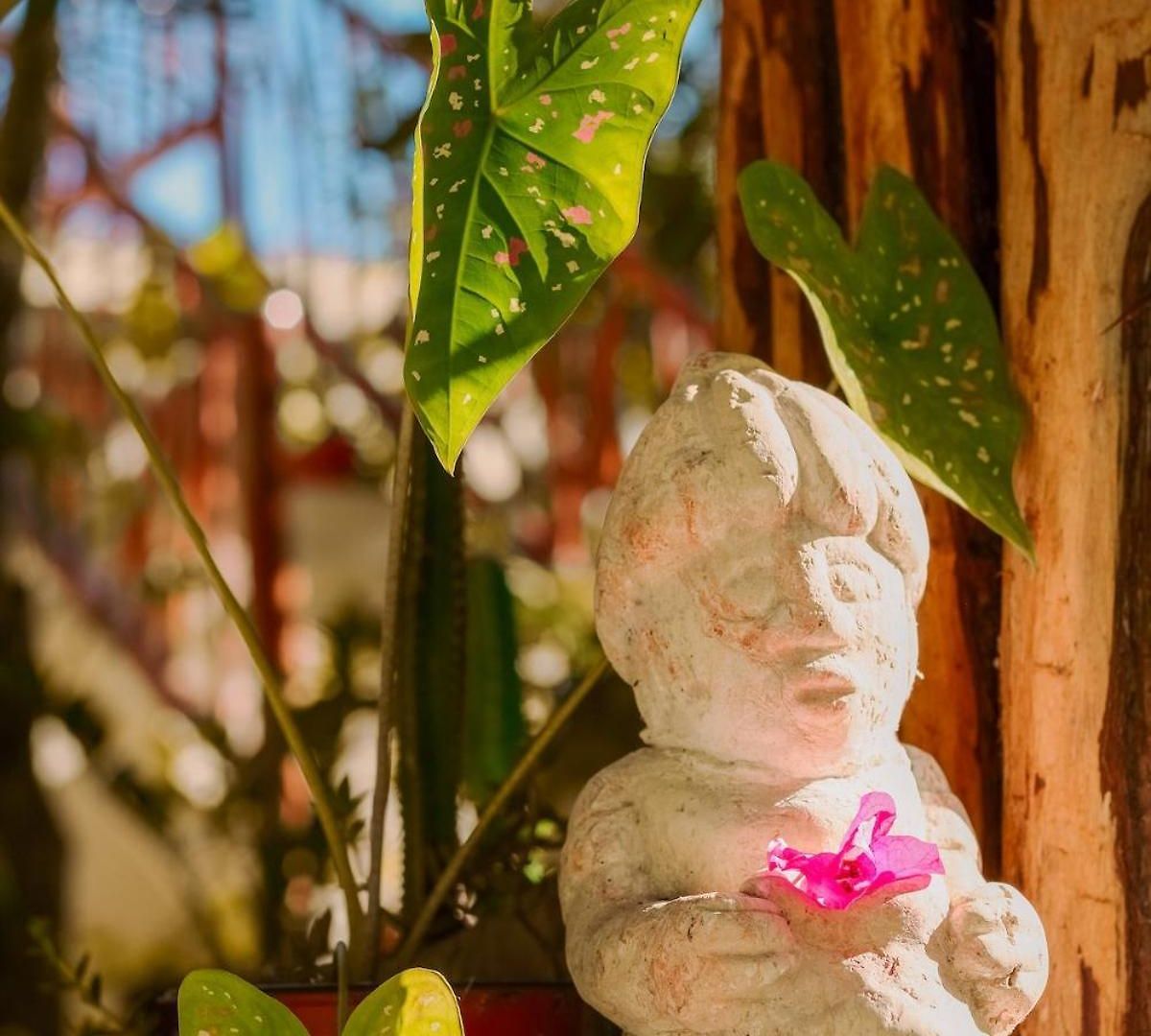 Casita Deva Stylish Mex Casita, Epic Rooftop Pool Villa *