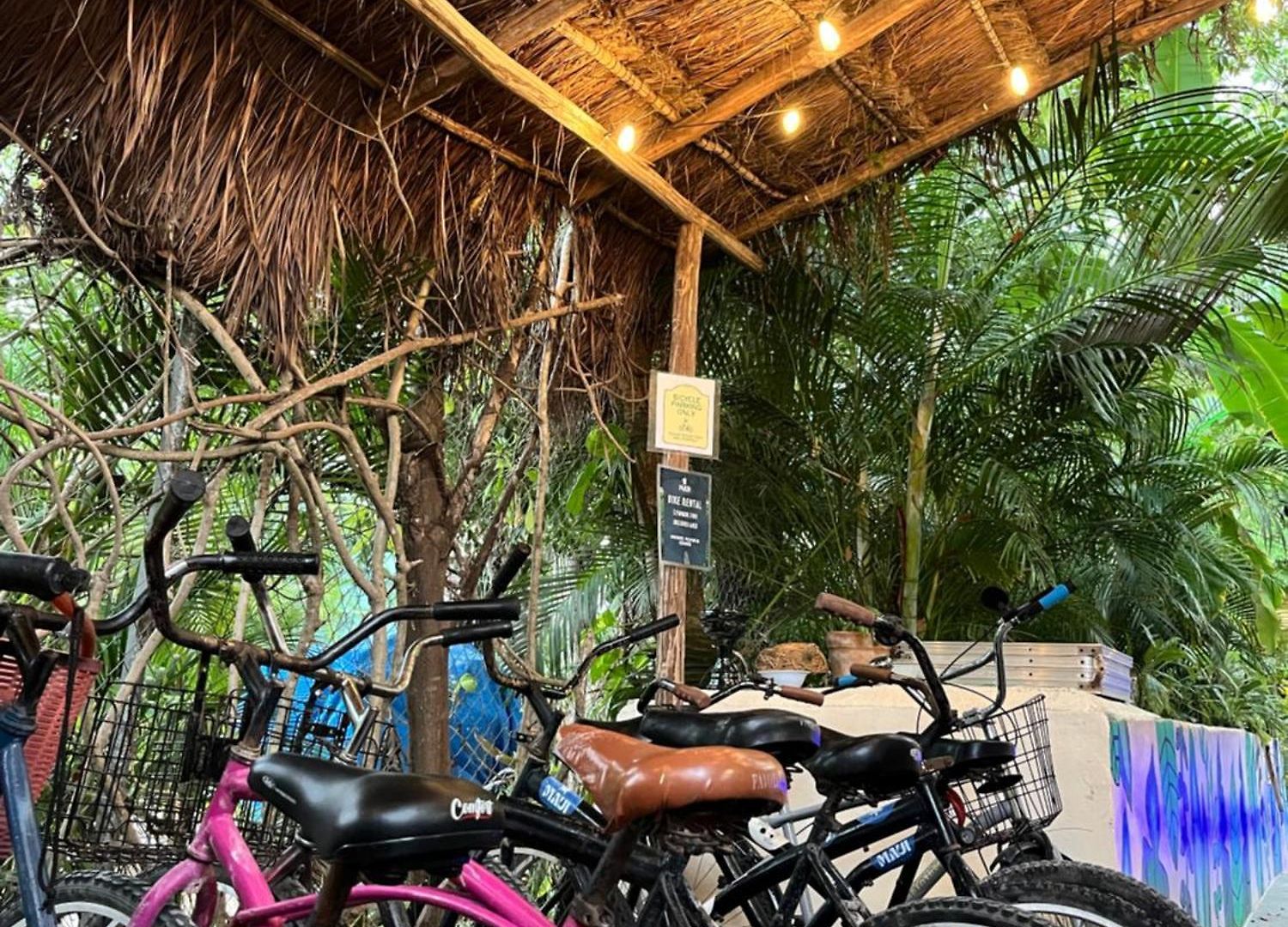 Maui Hostal *