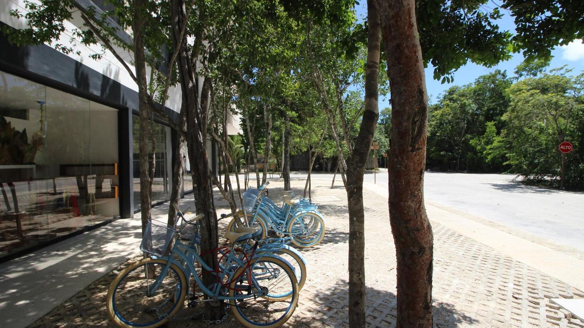 Spacious With Rooftop Pool, Gym, Coworking And Cinema Tulum