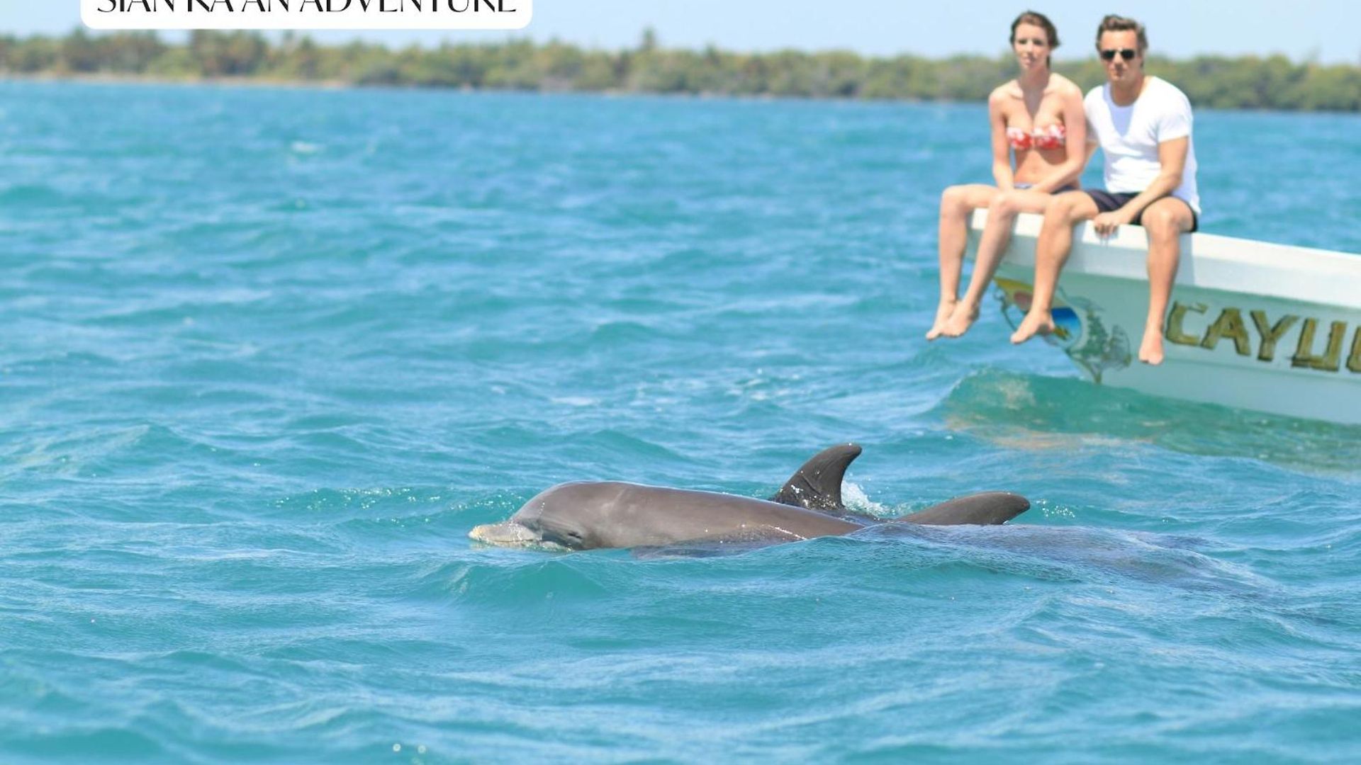 Swimup Retreat With Pool Terrace In Veleta Apartment