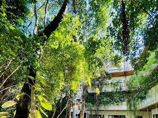 A Beautiful Family With A Private Pool A7 Apartamento Tulum