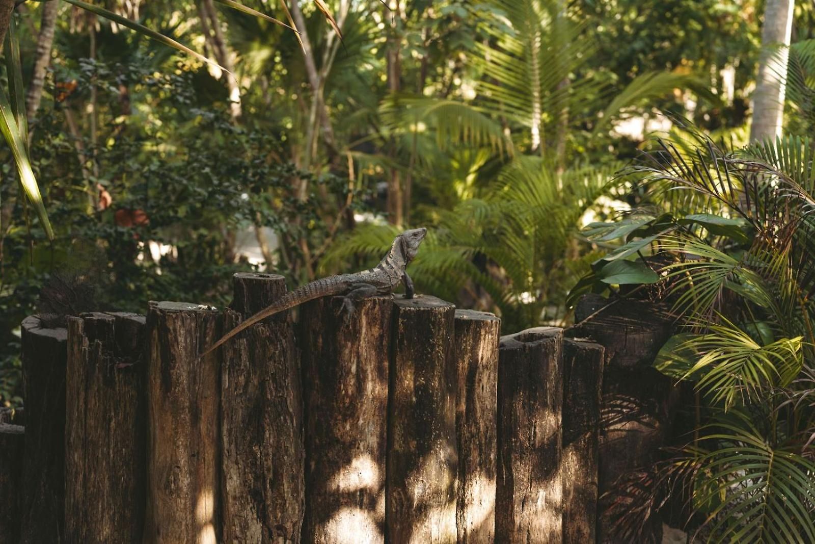 Sacred Hideaways * Tulum
