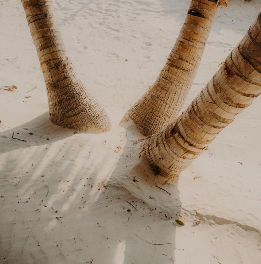 Sacred Hideaways * Tulum