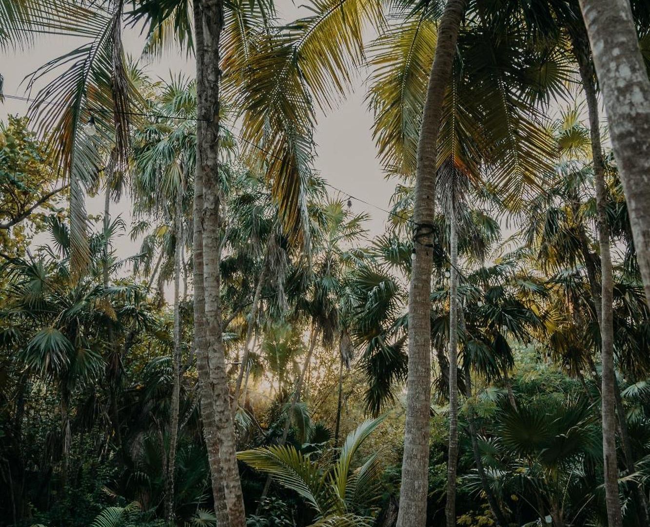 Sacred Hideaways Tulum