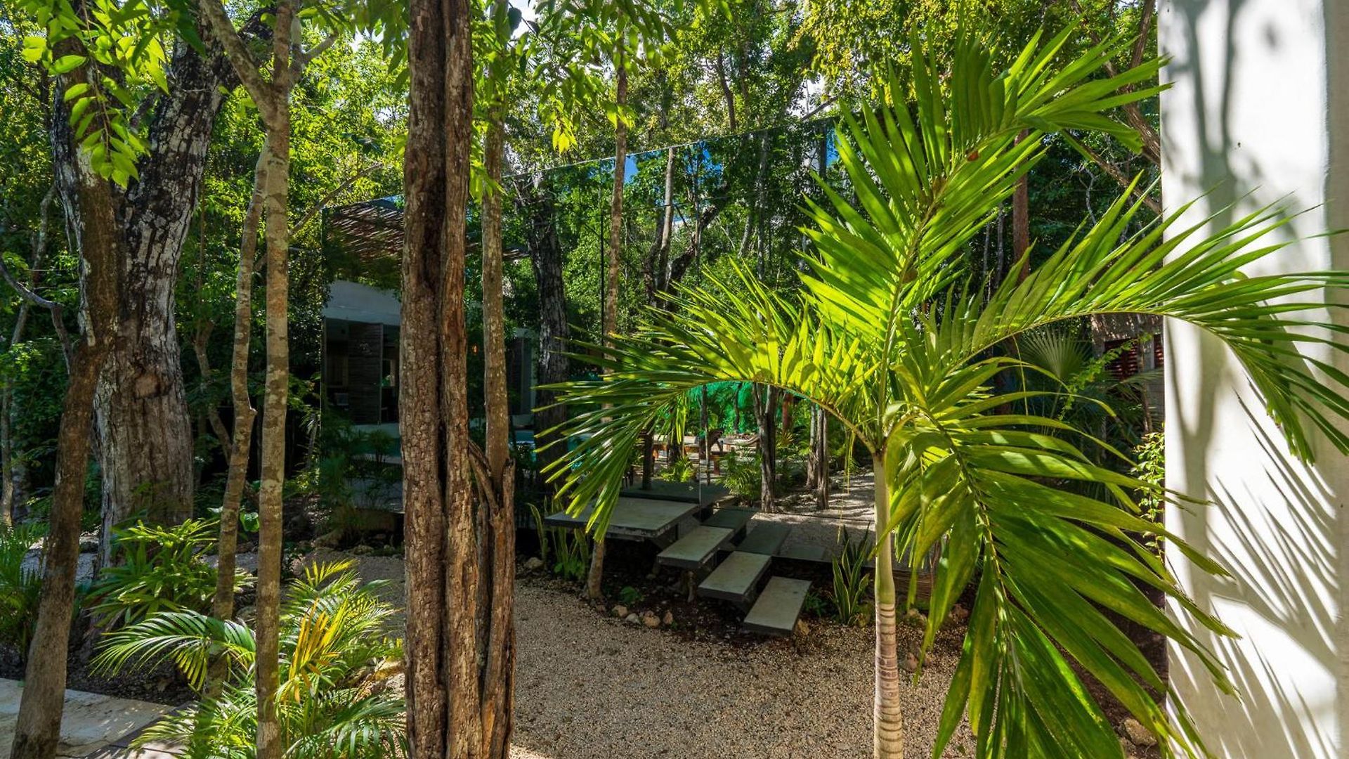 Chay Glass Jungle House Apartment Tulum