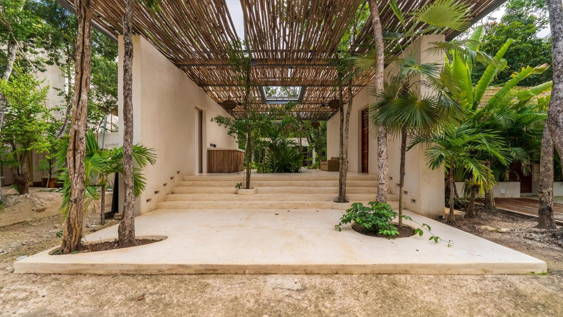 Chay Glass Jungle House