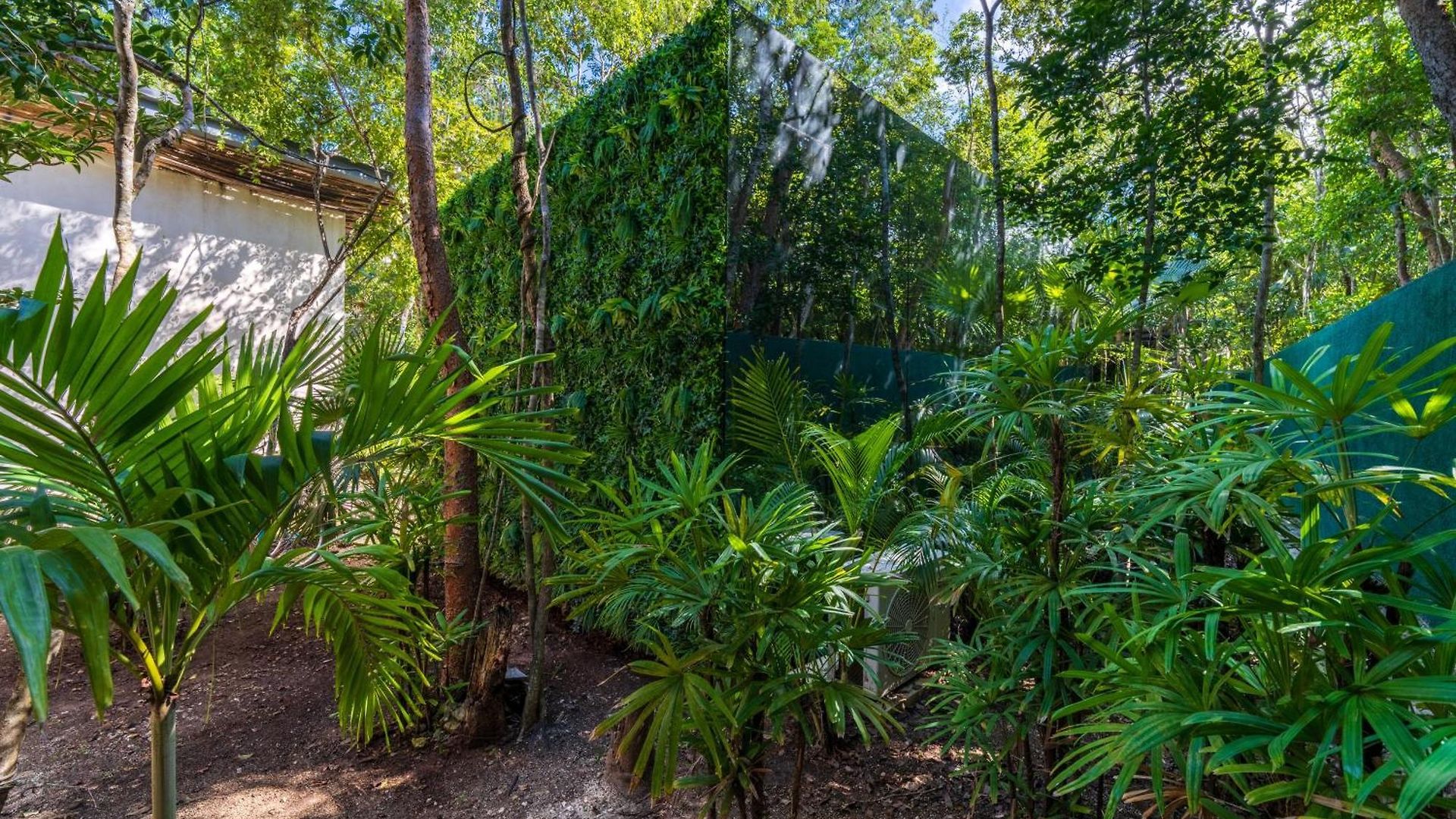 Chay Glass Jungle House Apartment Tulum