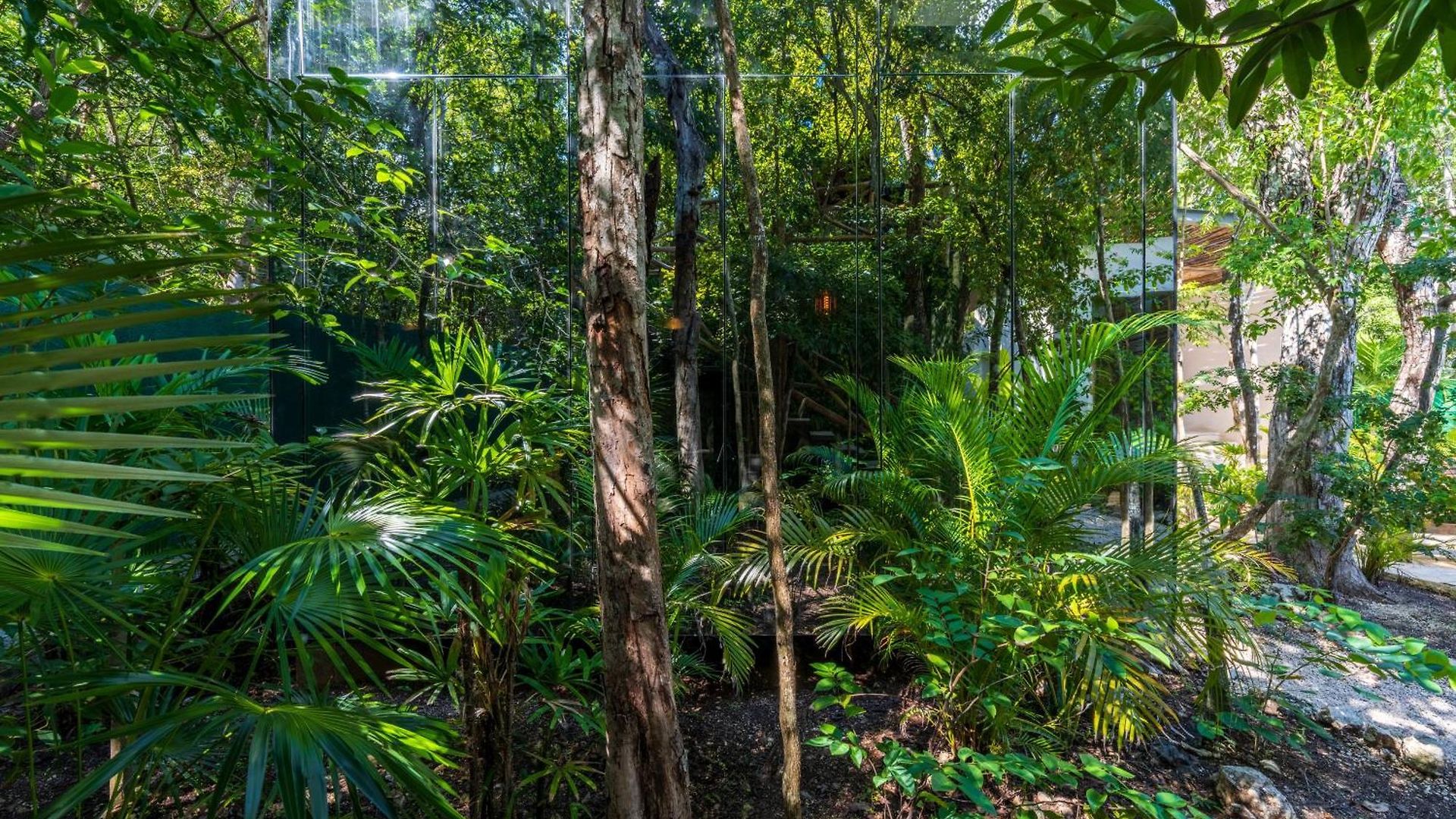 Chay Glass Jungle House