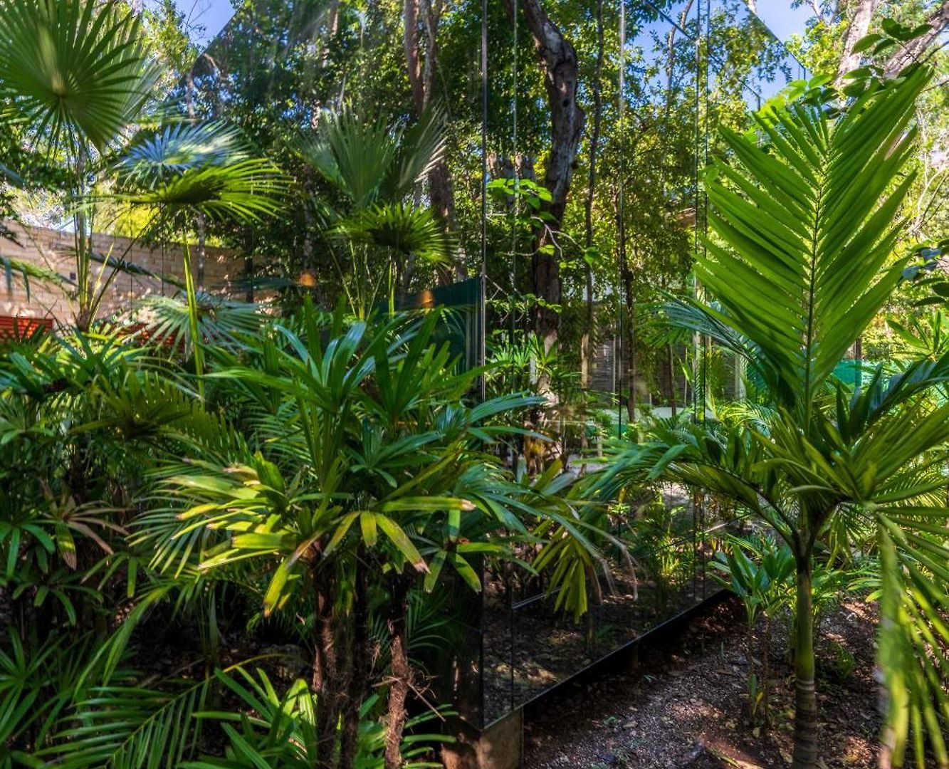 Chay Glass Jungle House Apartment *
