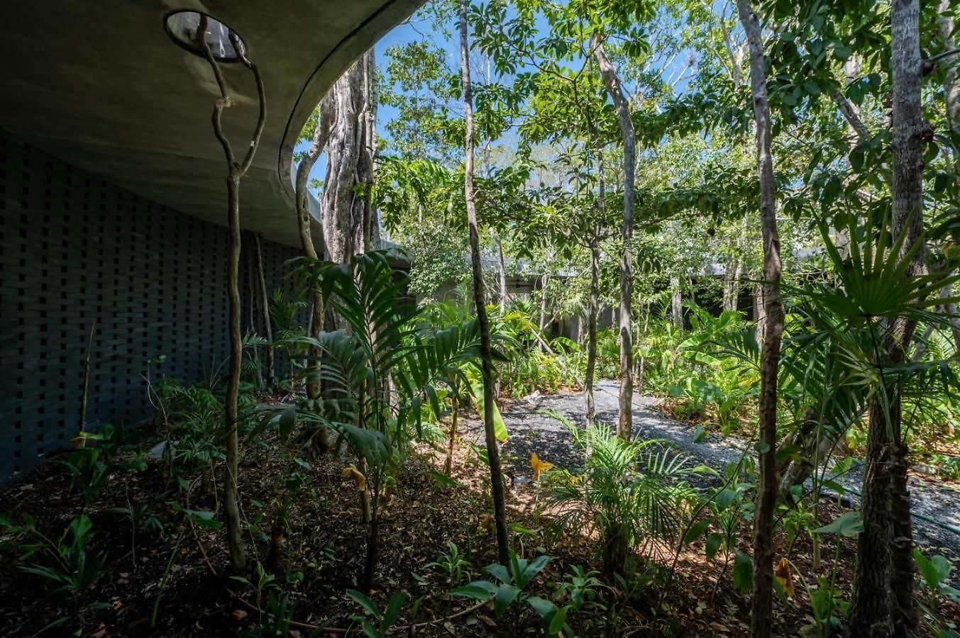 4br Stunning In Tulum's Heart Apartment Tulum