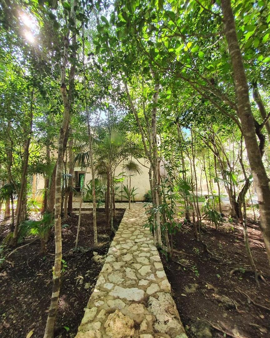 With A Private Pool Tulum