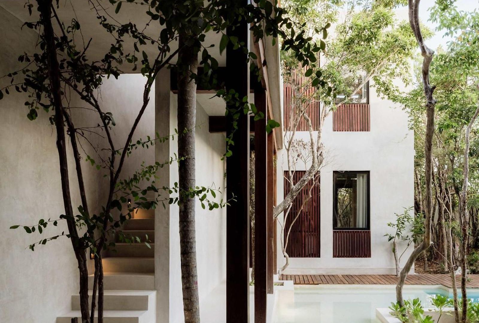 Jungle For 21 - Pool, Yoga & Concierge Holiday home Tulum