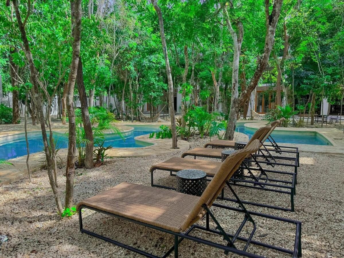 Apartment Incredible With Jacuzzi Naia C19 *