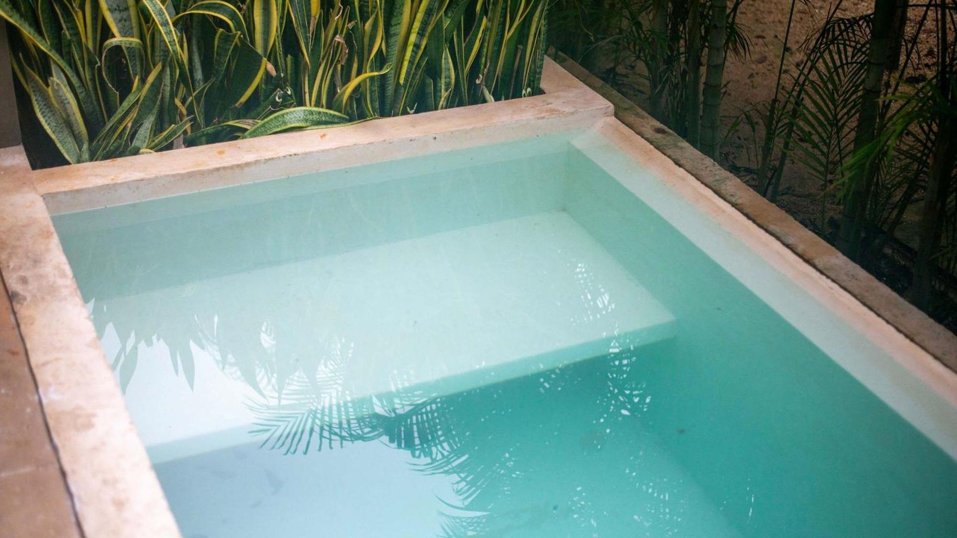Apartment Seremonia Origen - With Plunge Pool Tulum
