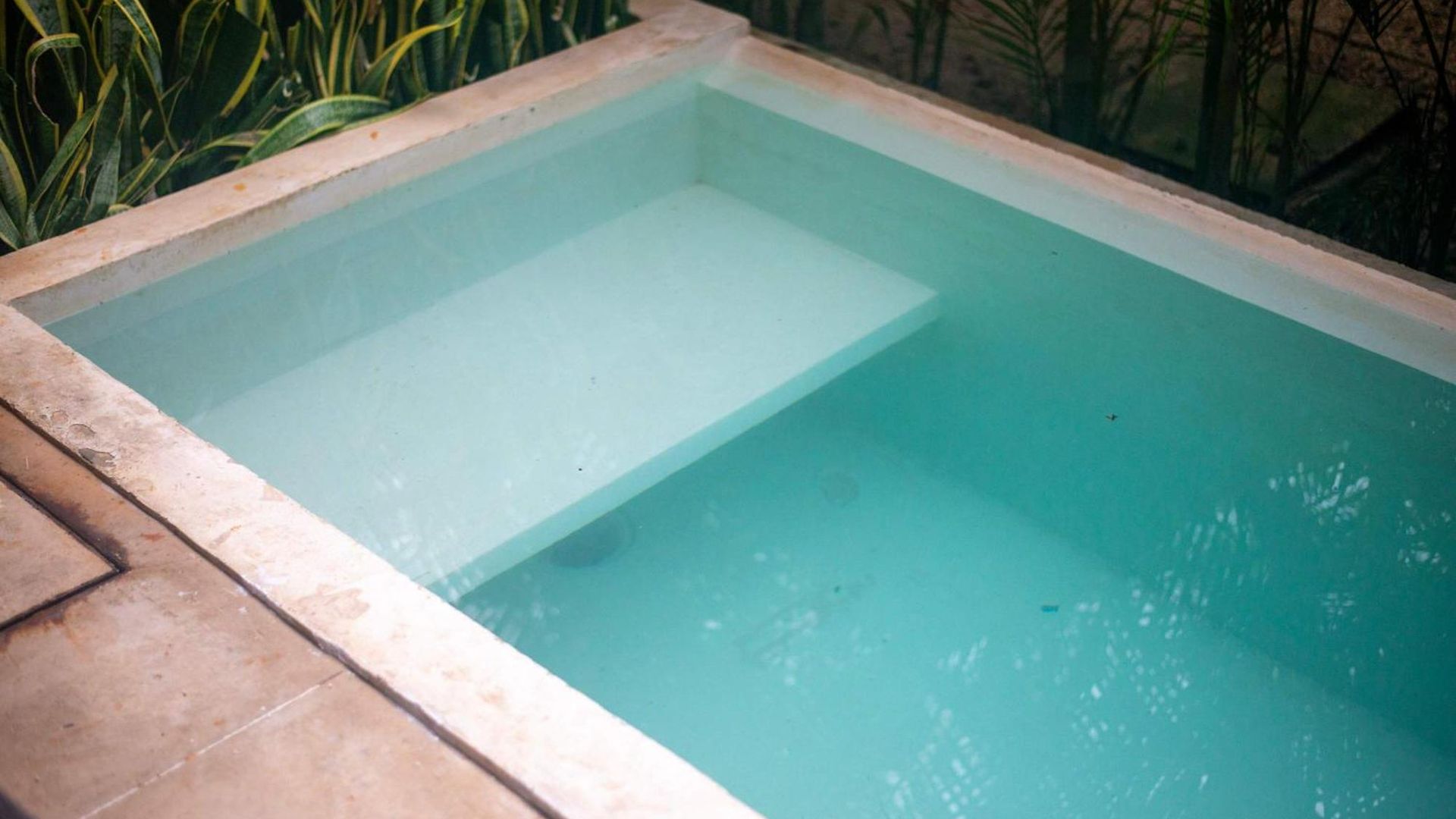 Seremonia Origen - With Plunge Pool Apartment