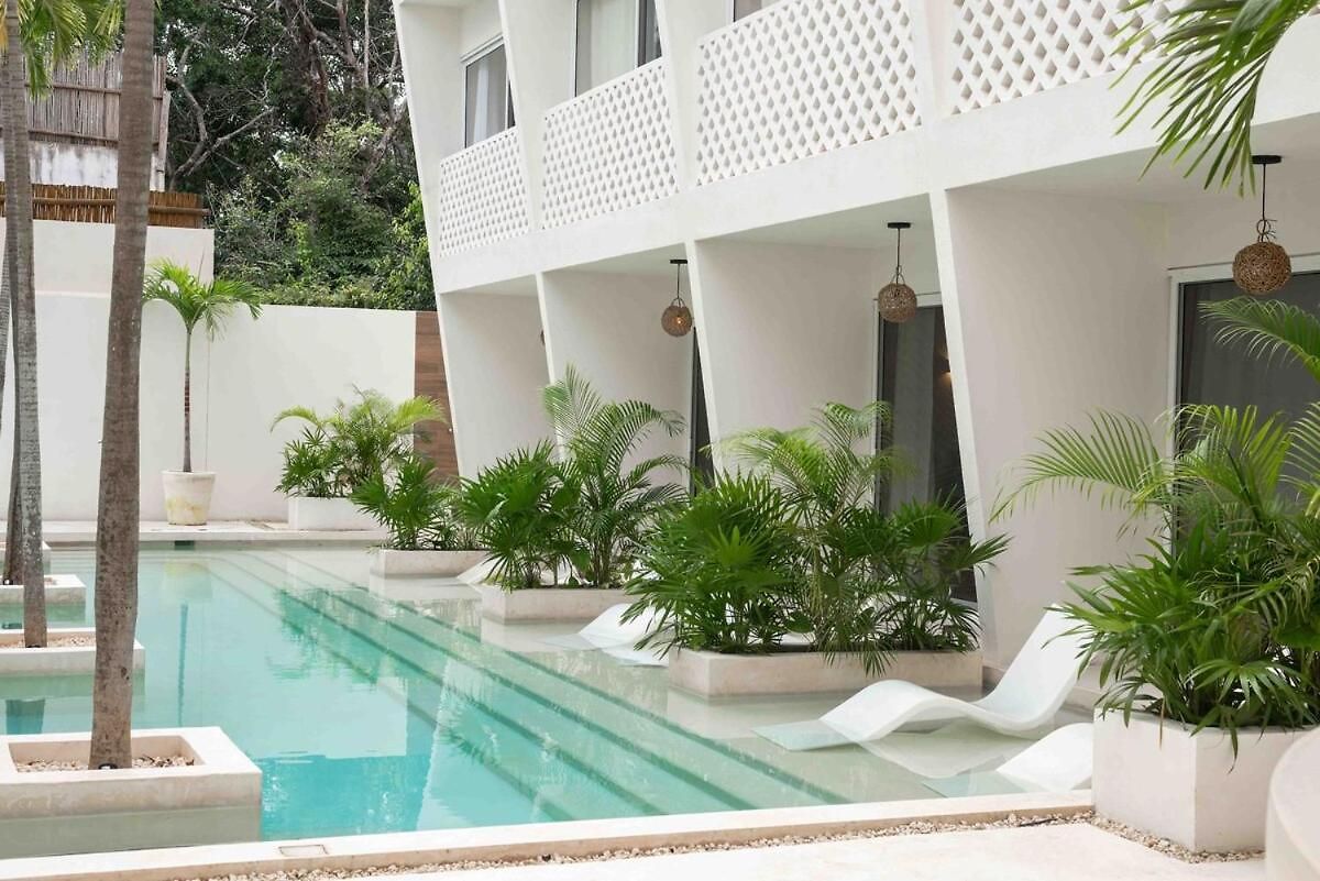 Apartment Ideal For Digital Nomads Tulum