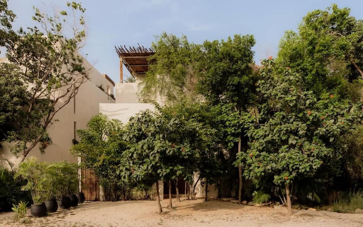 Villa Lux Casa Kuk 2 Pools 2 Kitchens Rooftop Oasis
