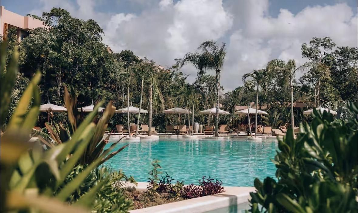 Hotel New! Aflora Retreat Tulum, Loft With Pool And Gym