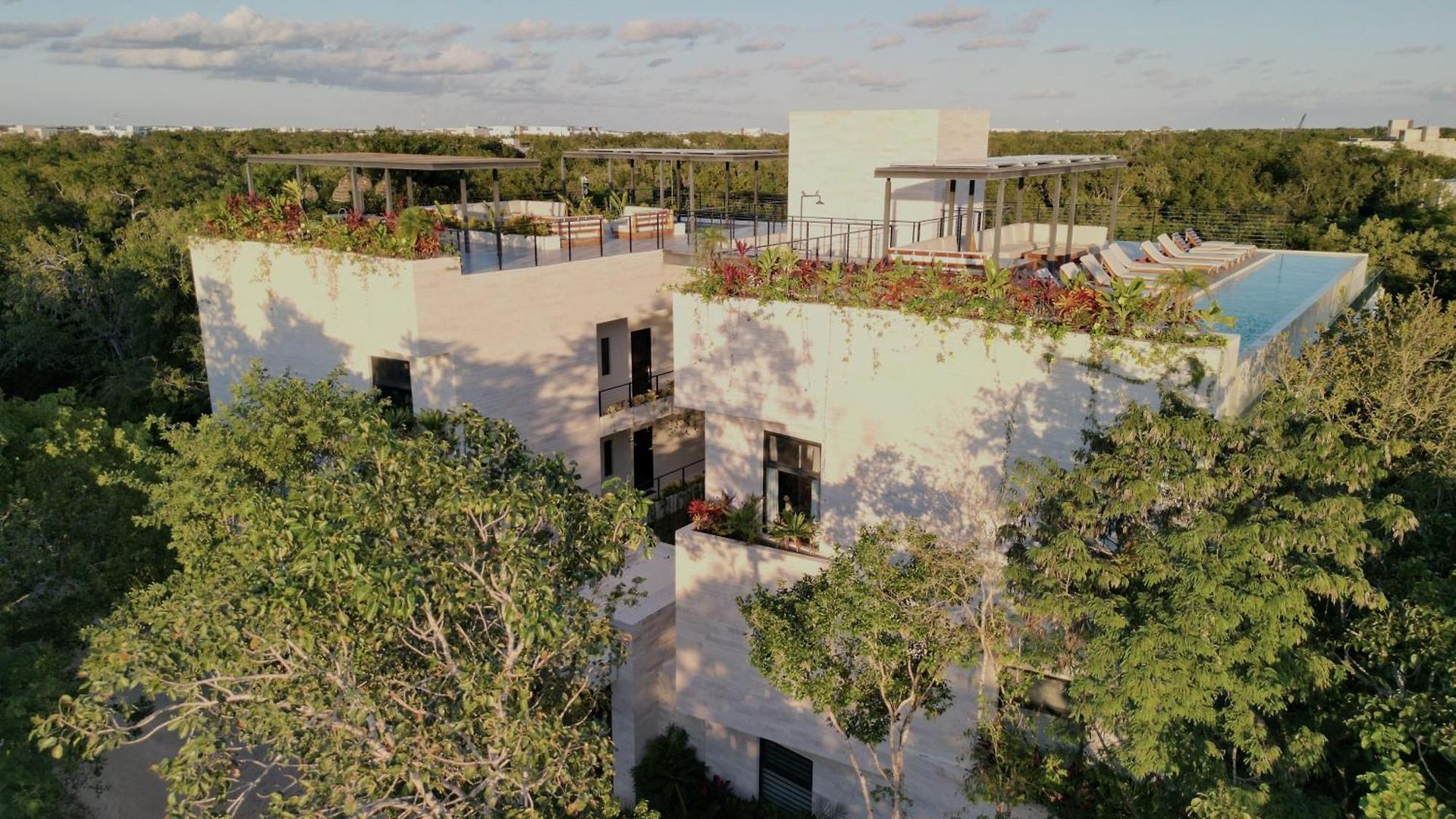 Apartamento Jungle At 525 *