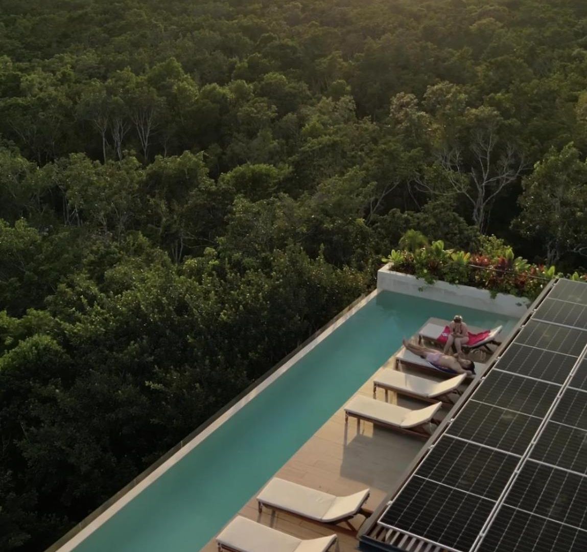 Jungle At 525 * Tulum
