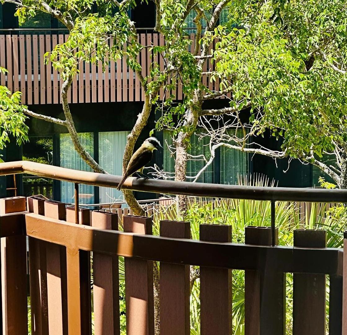 Jungle Guardian - Rooftop Pool & Club Сasa de vacaciones