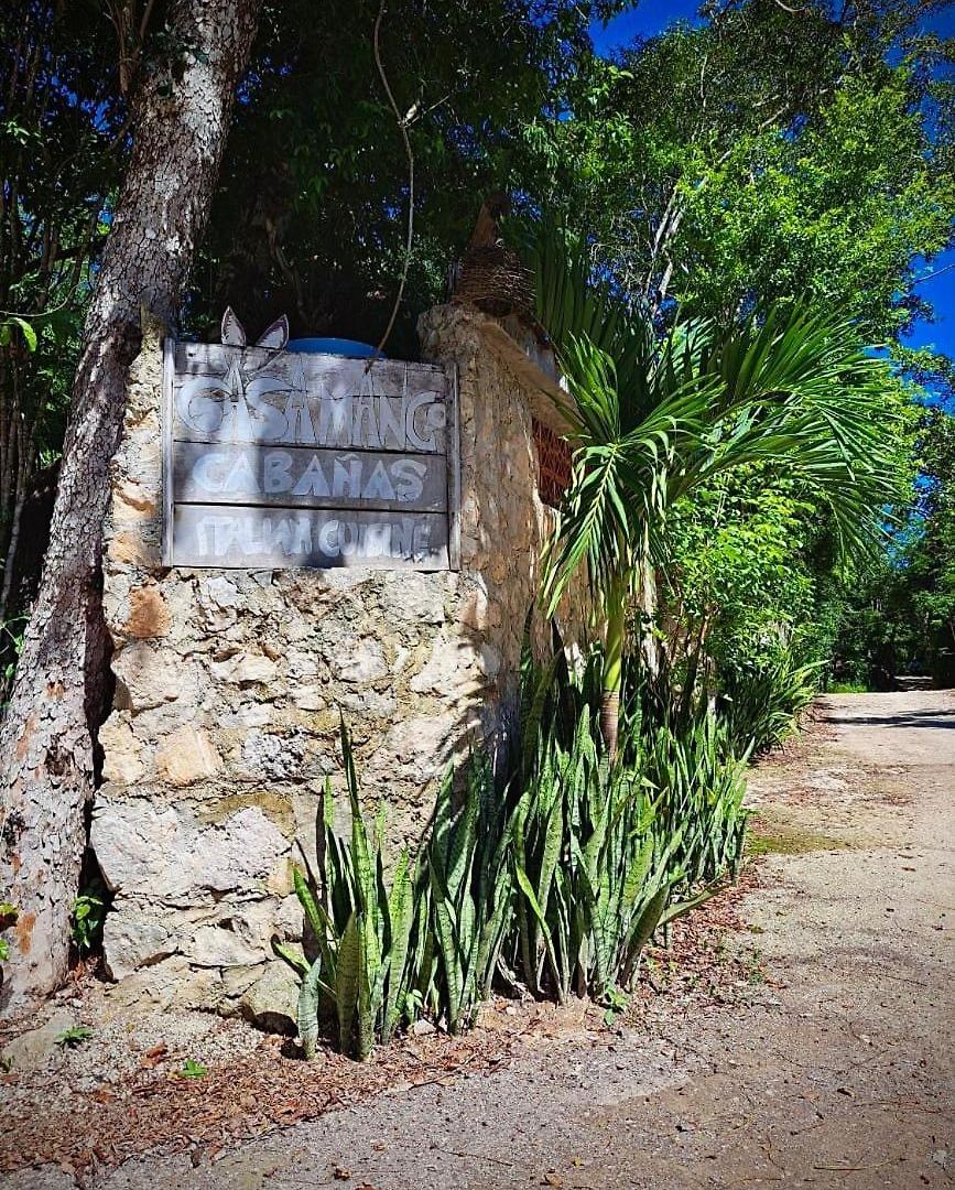 Casa Mango