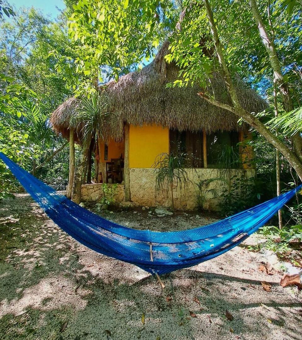 Bed and breakfast Casa Mango 4*