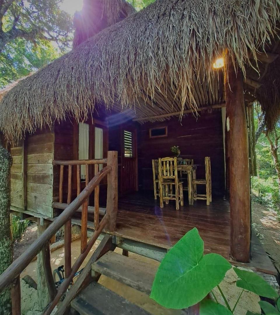 Casa Mango