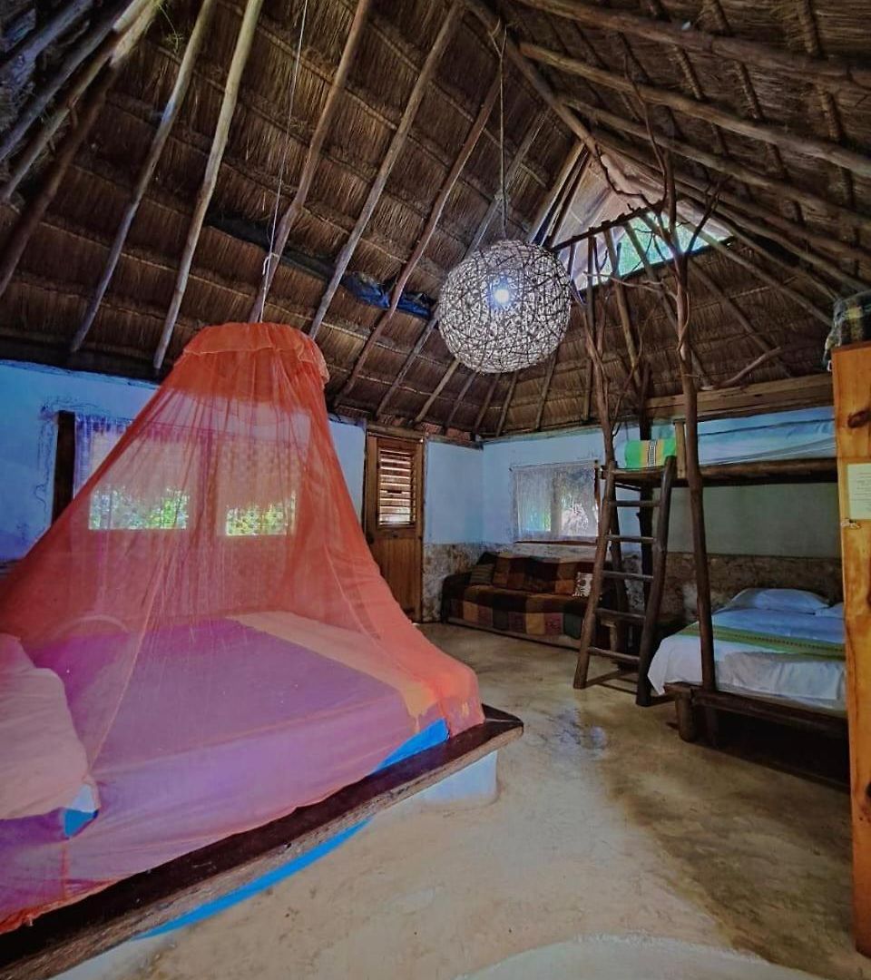 Casa Mango