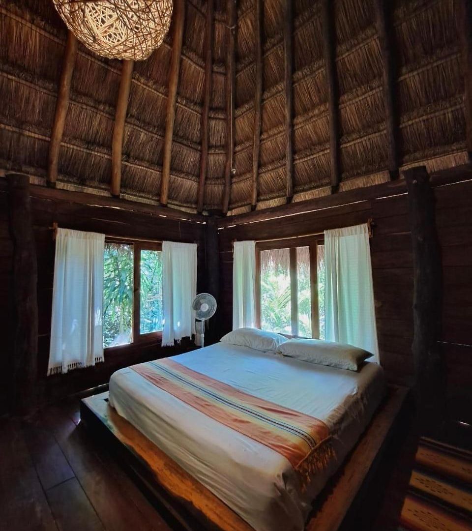 Casa Mango