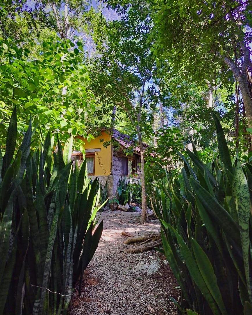 Casa Mango Bed and breakfast