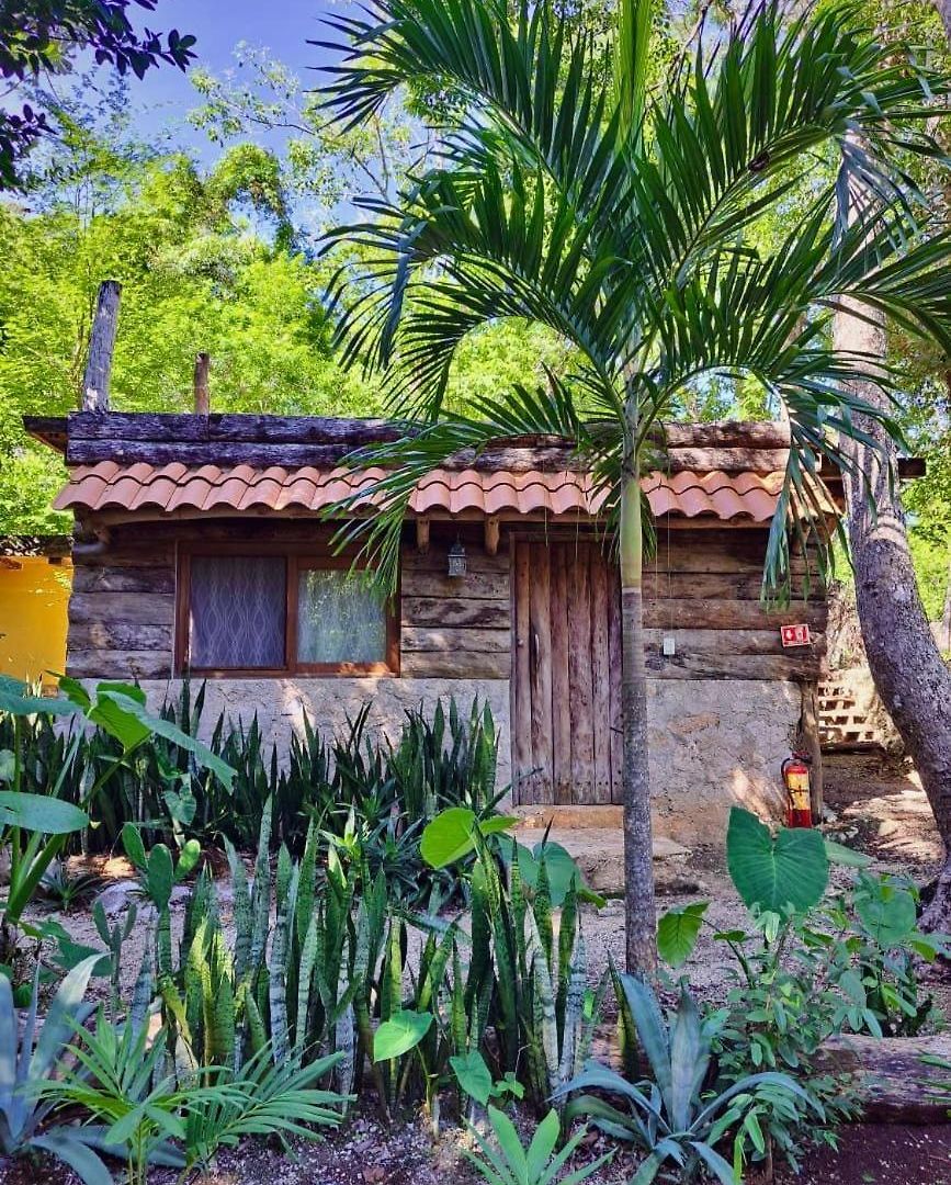 Casa Mango Bed and breakfast